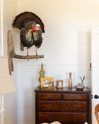 minick interiors project  